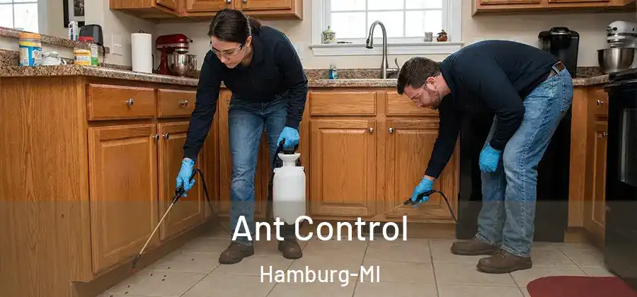 Ant Control Hamburg-MI