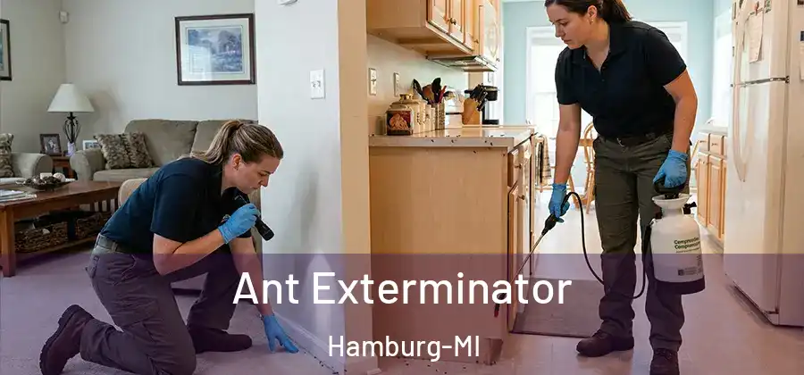 Ant Exterminator Hamburg-MI