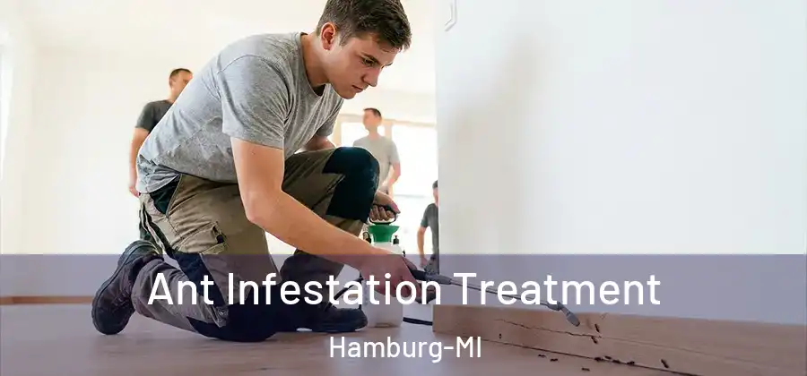 Ant Infestation Treatment Hamburg-MI