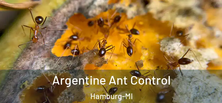 Argentine Ant Control Hamburg-MI