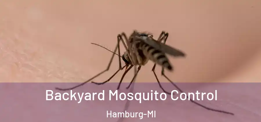 Backyard Mosquito Control Hamburg-MI