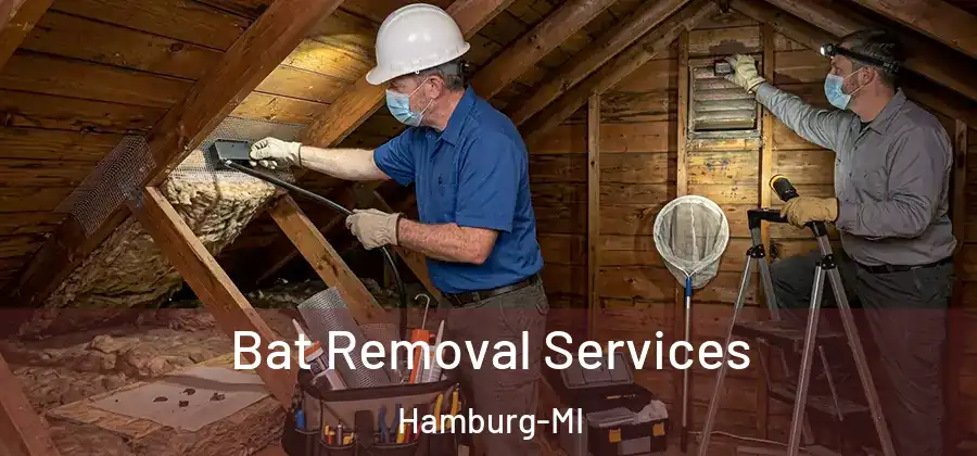Bat Removal Services Hamburg-MI