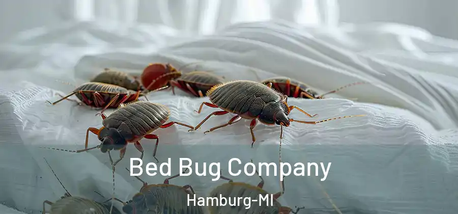 Bed Bug Company Hamburg-MI