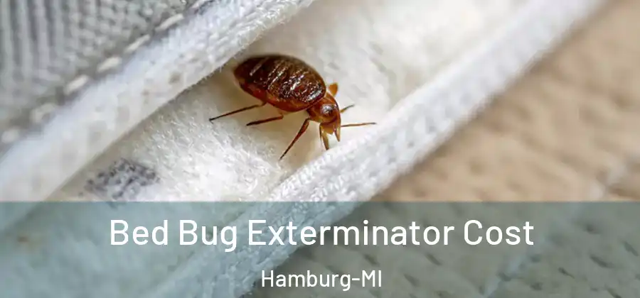 Bed Bug Exterminator Cost Hamburg-MI