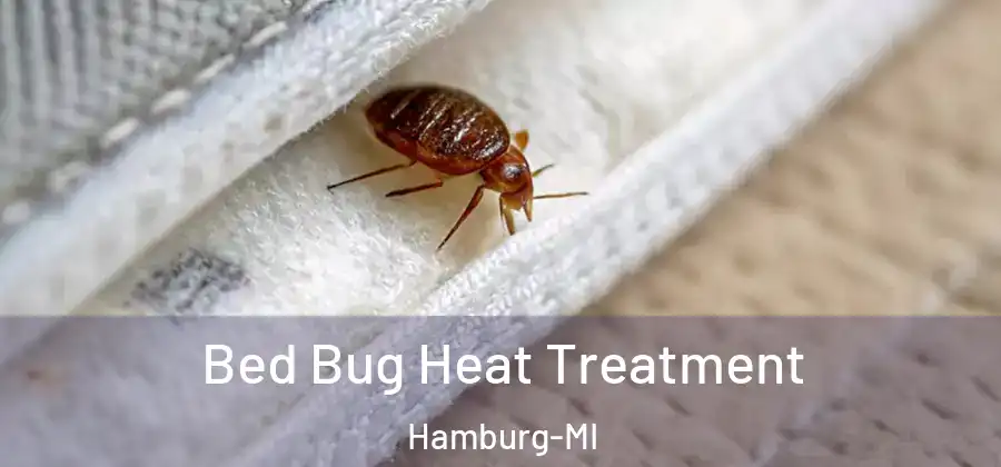 Bed Bug Heat Treatment Hamburg-MI