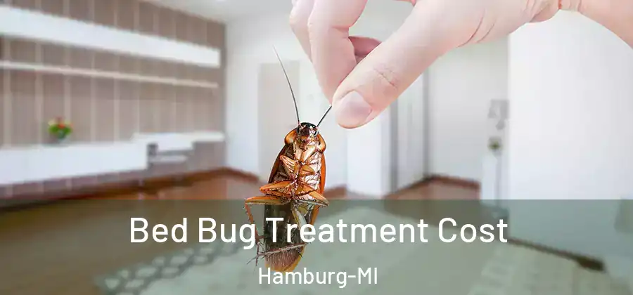  Bed Bug Treatment Cost Hamburg-MI