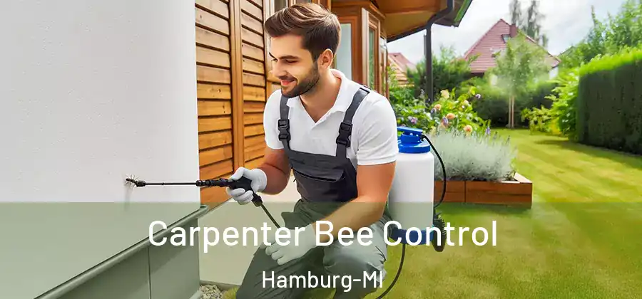 Carpenter Bee Control Hamburg-MI