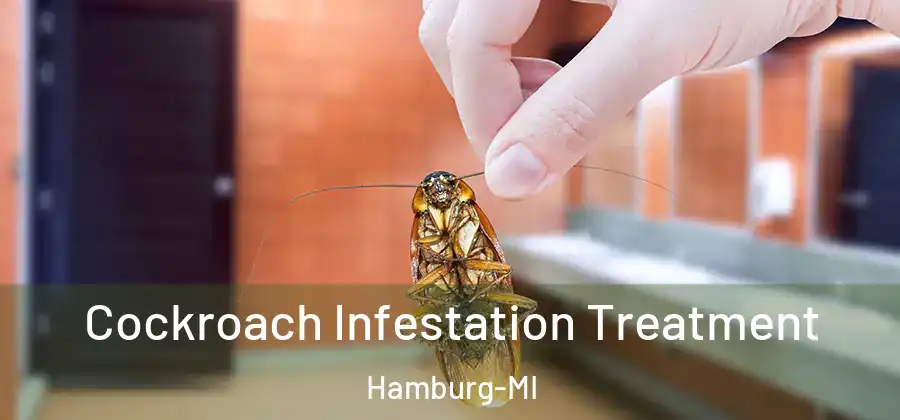 Cockroach Infestation Treatment Hamburg-MI