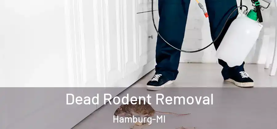  Dead Rodent Removal Hamburg-MI