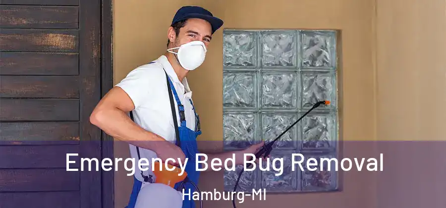 Emergency Bed Bug Removal Hamburg-MI