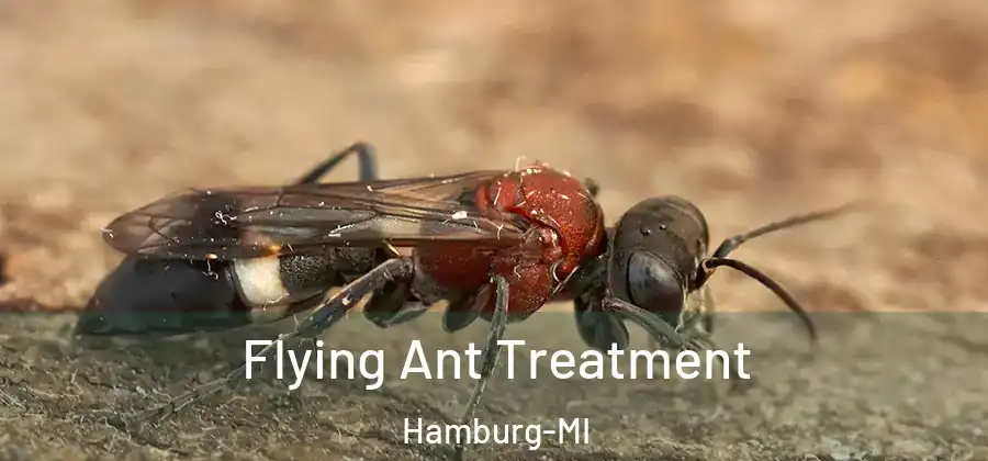 Flying Ant Treatment Hamburg-MI