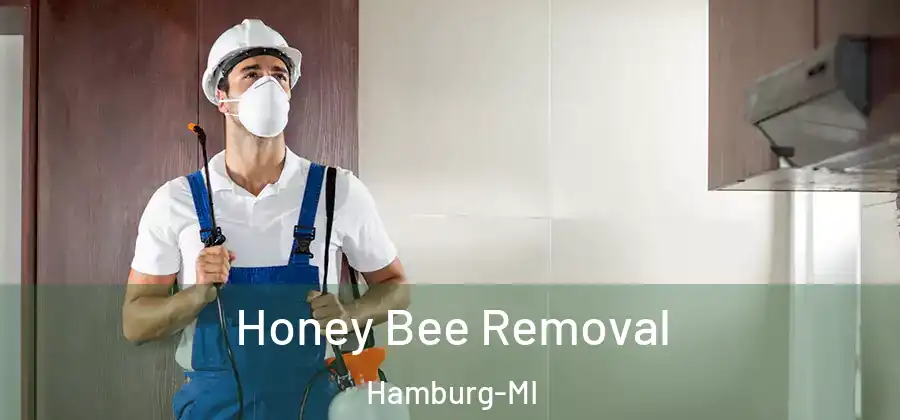 Honey Bee Removal Hamburg-MI