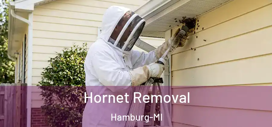 Hornet Removal Hamburg-MI