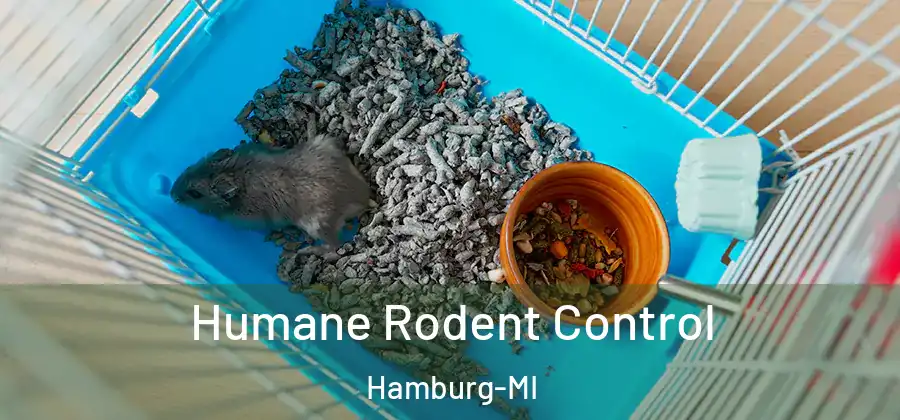 Humane Rodent Control Hamburg-MI