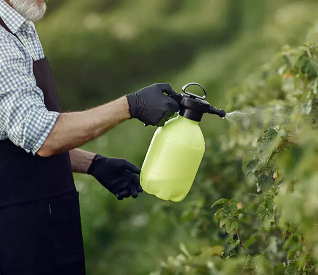 Your Proven Mosquito Treatment Company in Hamburg, MI