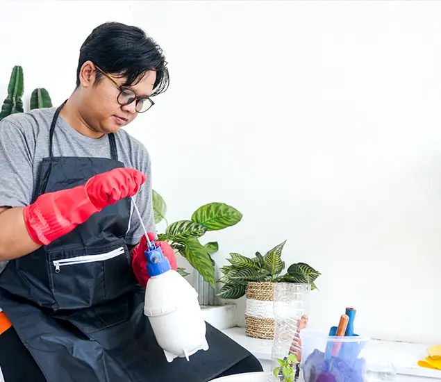 About Bed Bug Chemical Treatment Experts in Hamburg, MI
