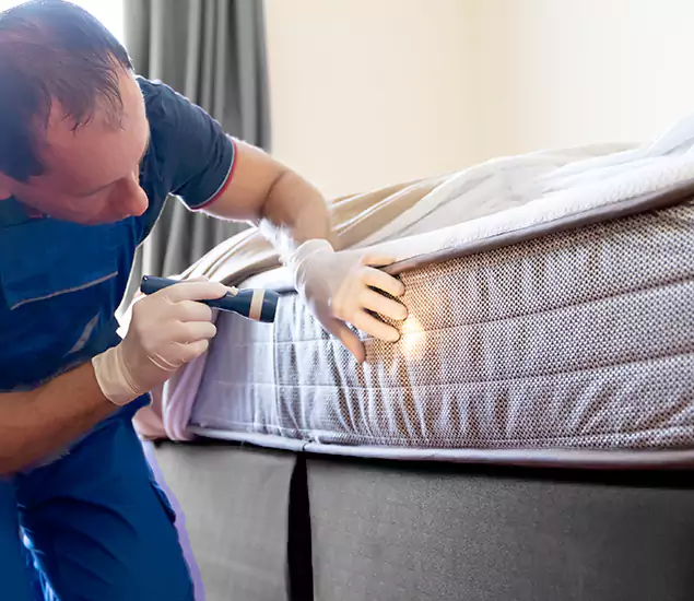 Trusted Bed Bug Cost Experts in Hamburg, MI