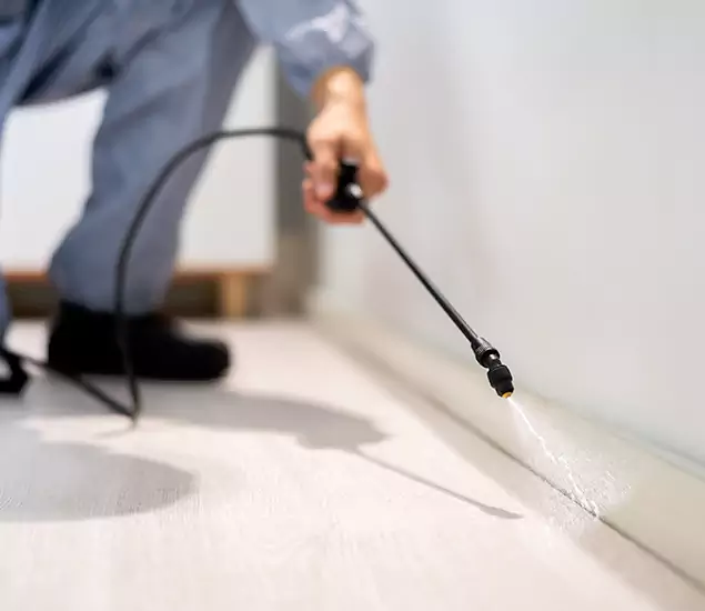 About Our Liquid Termite Treatment Experts in Hamburg, MI
