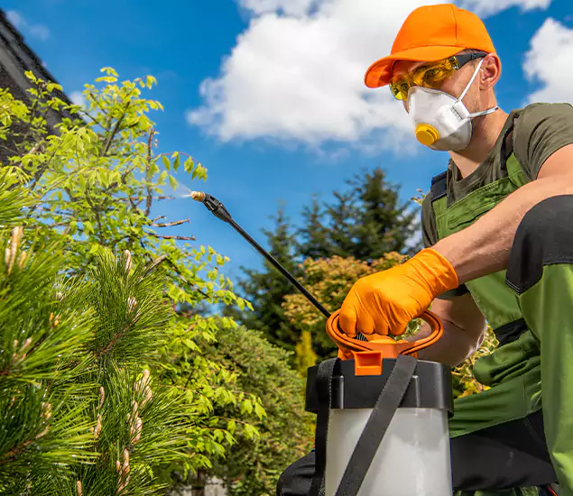 Your Mosquito Repellent Barrier Service in Hamburg, MI