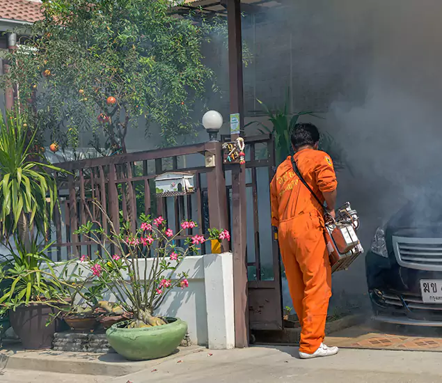 Your Proven Mosquito Fogging Company in Hamburg, MI