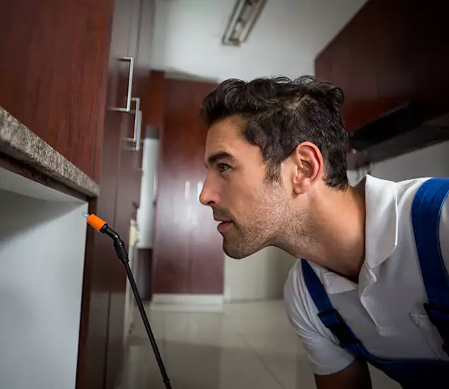 Expert Rodent in Attic Removal: Your Proven Pest Specialists in Hamburg, MI