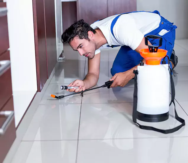 Advanced Slab Termite Treatment Experts You Can Trust&nbsp;in Hamburg, MI