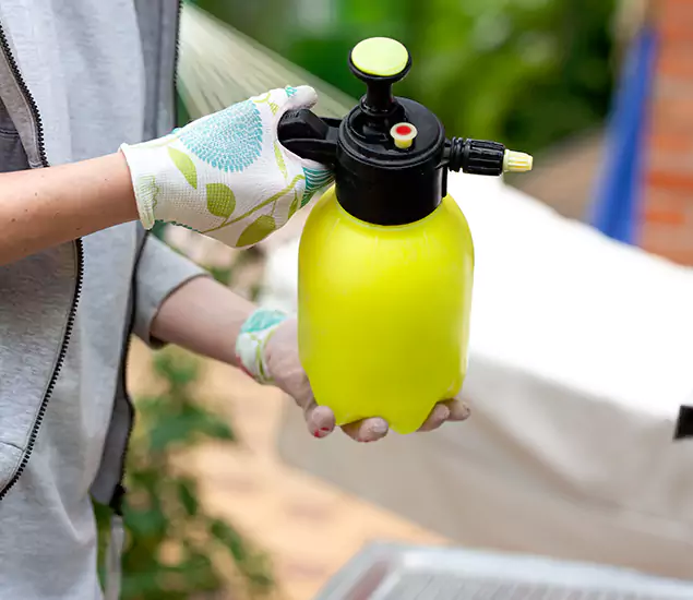 Skilled Residential Small Black Ant Service in Hamburg, MI