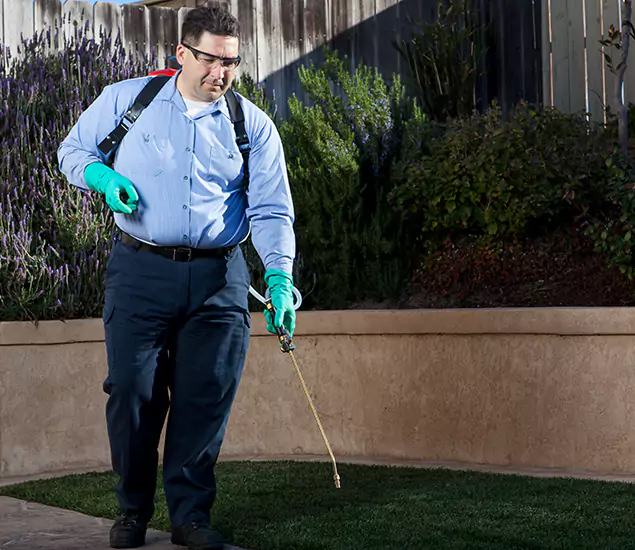 Reliable Termite Barrier Treatment Experts in Hamburg, MI
