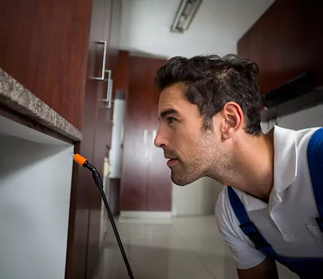 Termite Inspection Cost Experts You Can Trust in Hamburg, MI