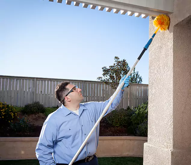 Your Trusted Wasp Removal Company in Hamburg, MI
