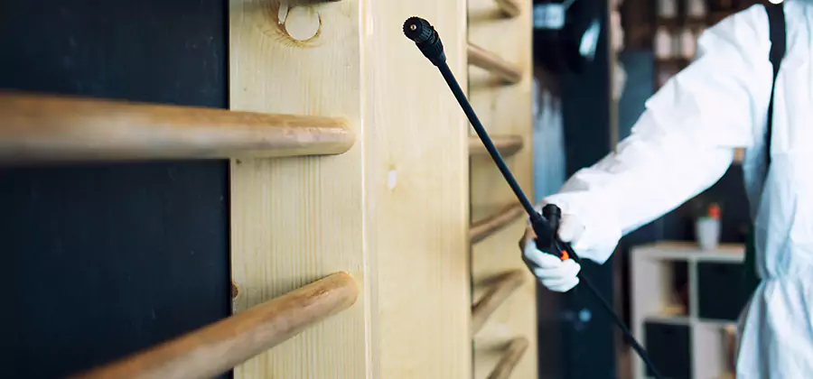 Attic Wood Termite Treatment in Hamburg