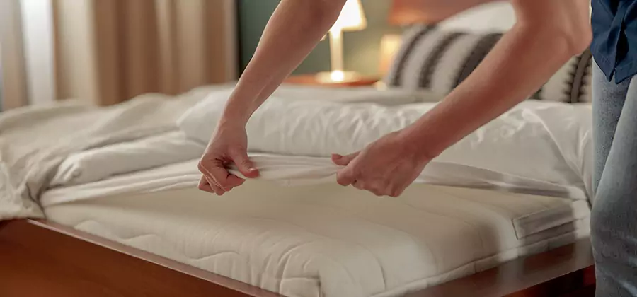 Bed Bug Extermination Services in Hamburg