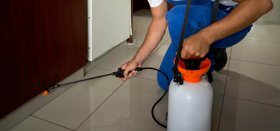 Indoor Mosquito Treatment in Hamburg