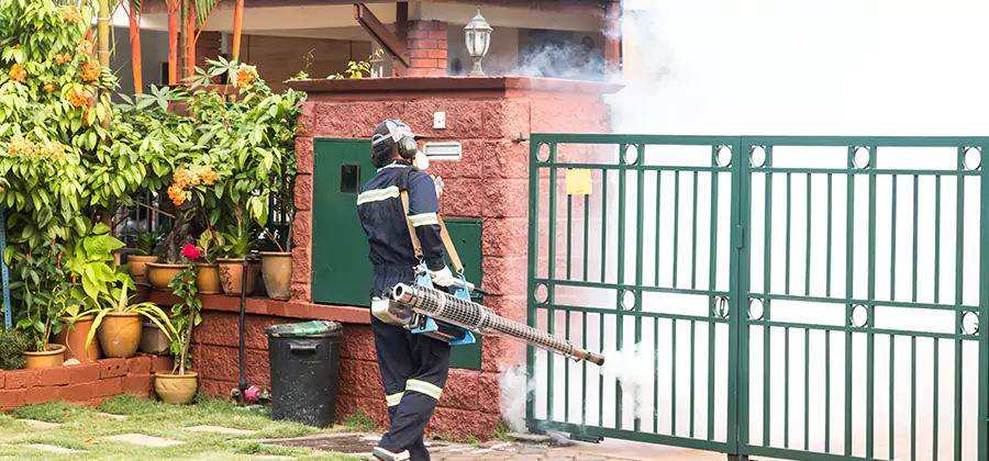 Backyard Mosquito Foggers Service in Hamburg