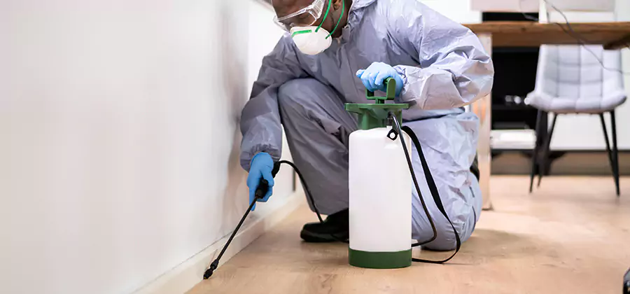 No Tent Termite Extermination With Electric Tool in Hamburg