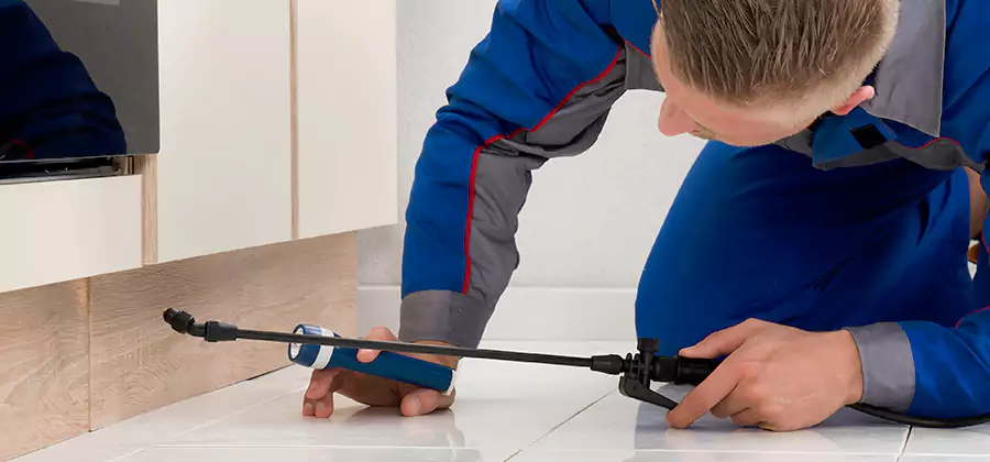 Moisture Treatment For Termite Control Service in Hamburg