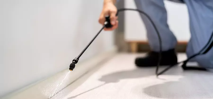 Direct Termite Injection Treatment in Hamburg