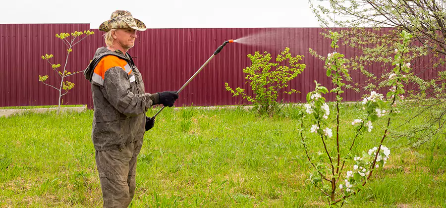 Flea and Tick Spray for Yard in Hamburg