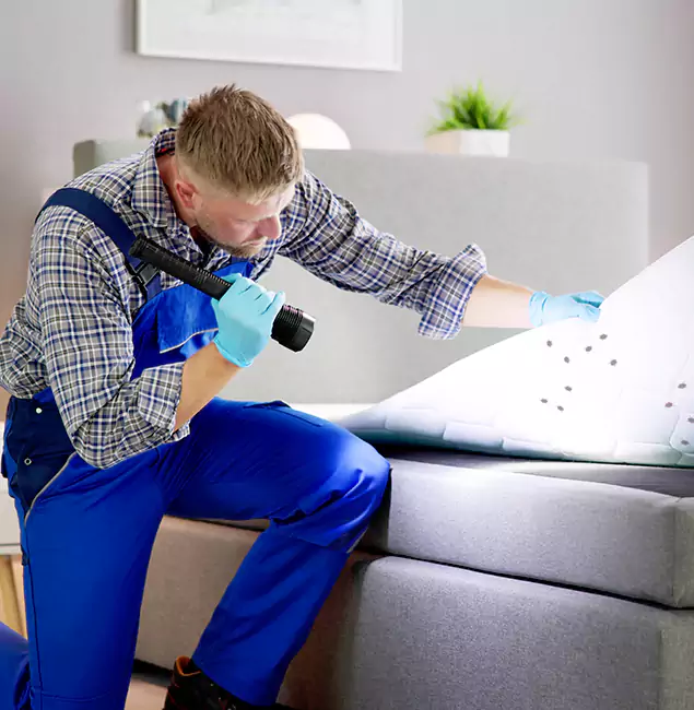 Why Choose Hamburg Pest Control Pro for Bed Bug Exterminator Cost in Hamburg, MI?