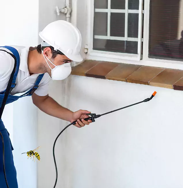 Why Hamburg Property Owners Choose Hamburg Pest Control Pro for Bee Nest Removal?
