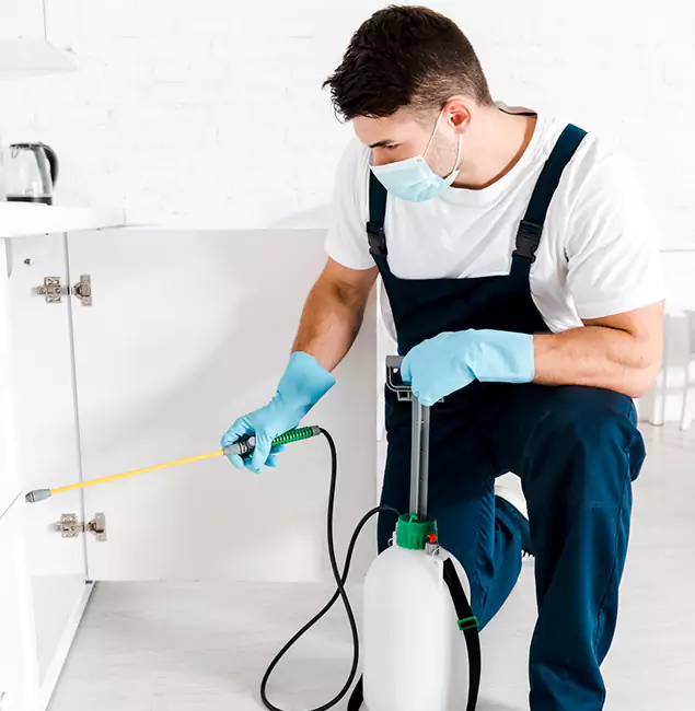 Why Choose Hamburg Pest Control Pro for Emergency Pest Control in Hamburg?