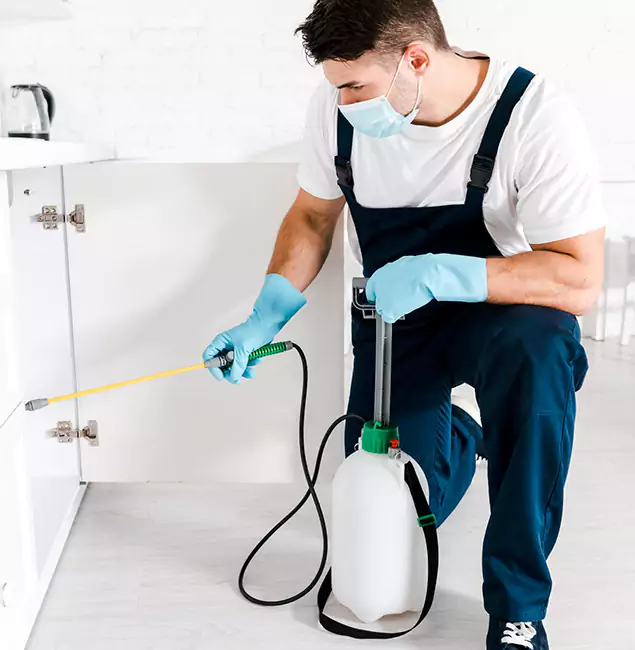 Why Hamburg, MI Homeowners Trust Us for German Roach Control?