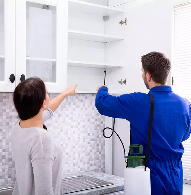 Why Hamburg Property Owners Choose Hamburg Pest Control Pro for Ground Bee Removal?