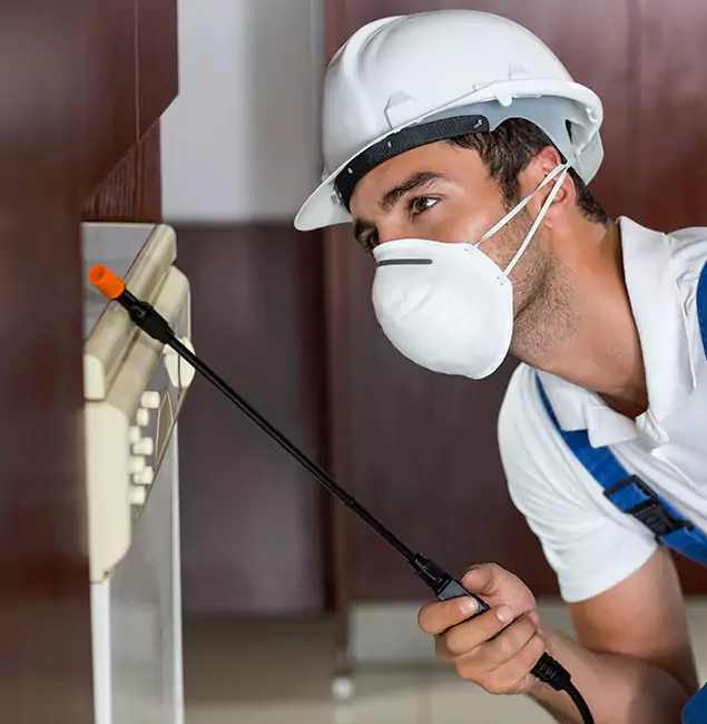 Why Hamburg Homeowners Rely on Hamburg Pest Control Pro for Tick Treatment?