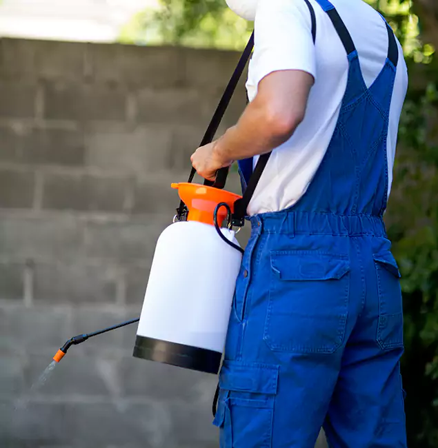 Why Hamburg Homeowners Rely on Hamburg Pest Control Pro for Mosquito Control?