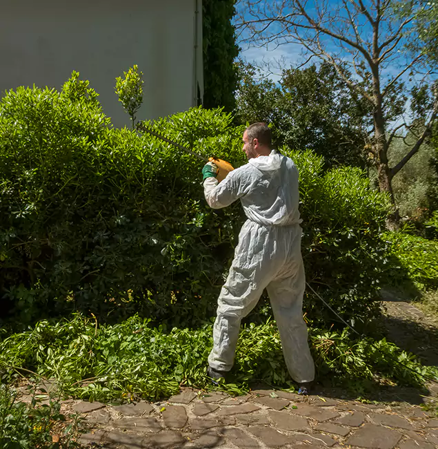 Why Hamburg Pest Control Pro Leads Mosquito Control in Hamburg, MI?