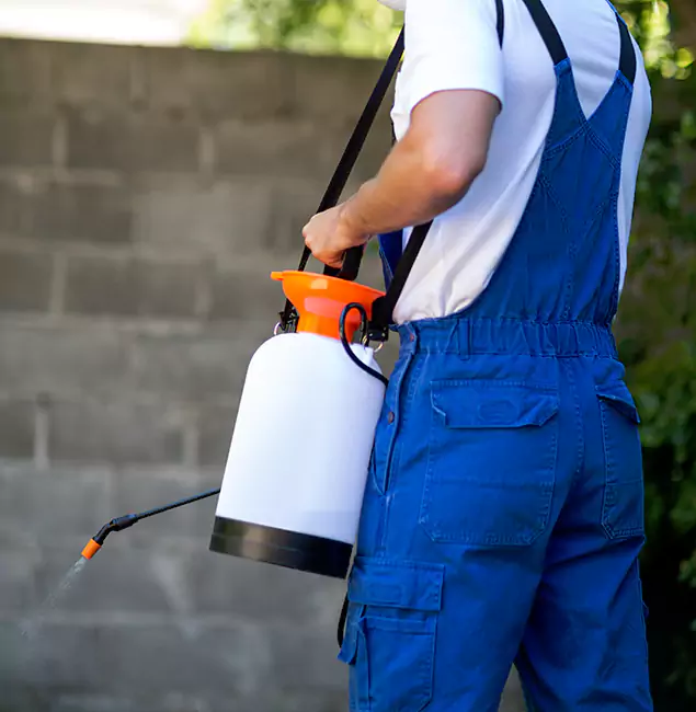 Why Hamburg Pest Control Pro Delivers the Best Mosquito Control in Hamburg, MI?