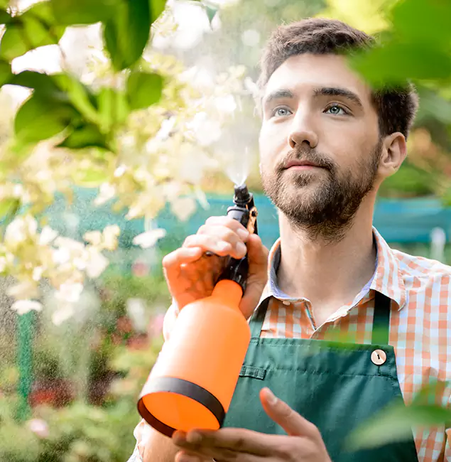 Why Hamburg Homeowners Call Hamburg Pest Control Pro for Mosquitoes in House?