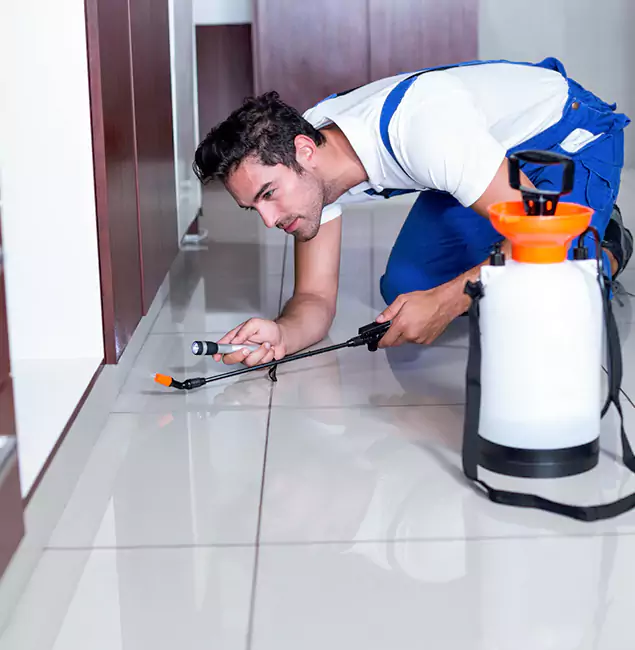 Why Hamburg Pest Control Pro Is the Proven Choice in Hamburg, MI?