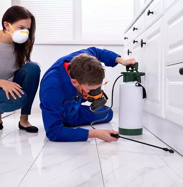 Why Choose Hamburg Pest Control Pro in Hamburg, MI?